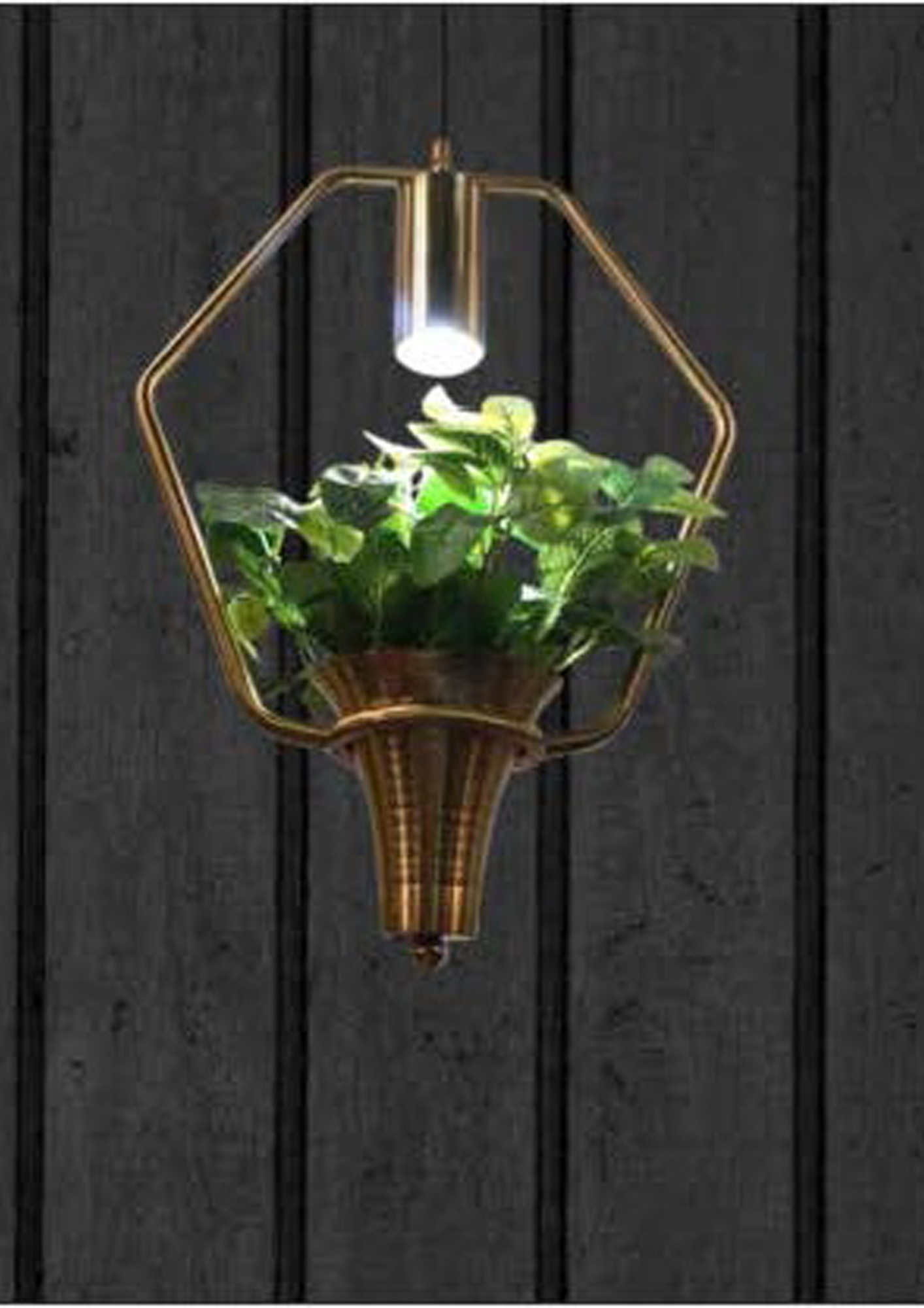 Beyond Lights - Brass Planter Light- GL